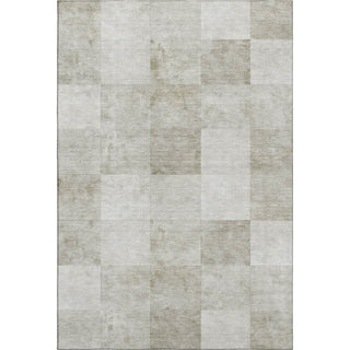 Dalyn Pacifica PA10 Beige Machine Washable Area Rug main image