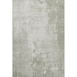 Dalyn Pacifica PA11 Linen Machine Washable Area Rug main image