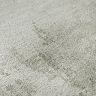 Dalyn Pacifica PA11 Linen Machine Washable Area Rug Swatch Image
