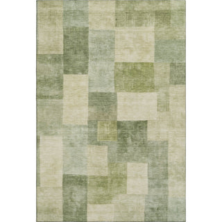 Dalyn Pacifica PA12 Aloe Machine Washable Area Rug main image