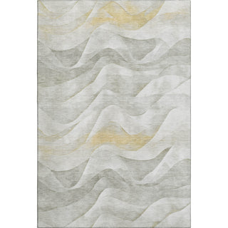 Dalyn Pacifica PA3 Silver Machine Washable Area Rug main image