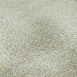 Dalyn Pacifica PA5 Aloe Machine Washable Area Rug Swatch Image