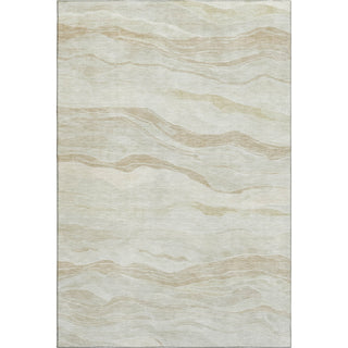 Dalyn Pacifica PA6 Beige Machine Washable Area Rug main image
