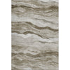 Dalyn Pacifica PA6 Brown Machine Washable Area Rug main image