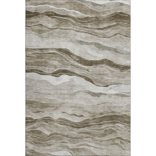 Dalyn Pacifica PA6 Brown Machine Washable Area Rug main image