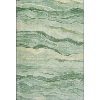 Dalyn Pacifica PA6 Green Machine Washable Area Rug main image