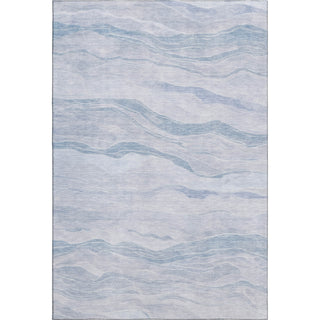 Dalyn Pacifica PA6 Sky Machine Washable Area Rug main image