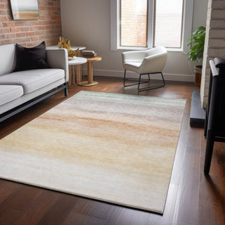 Dalyn Pacifica PA8 Coral Machine Washable Area Rug Lifestyle Image Feature