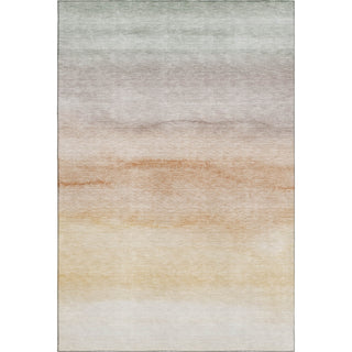 Dalyn Pacifica PA8 Coral Machine Washable Area Rug main image