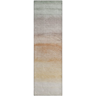 Dalyn Pacifica PA8 Coral Machine Washable Area Rug Runner Main Image