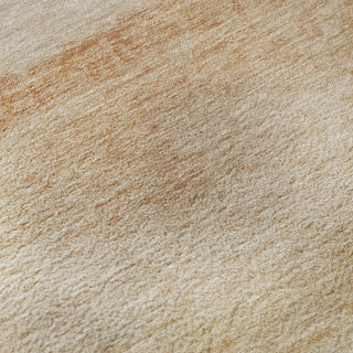 Dalyn Pacifica PA8 Coral Machine Washable Area Rug Swatch Image