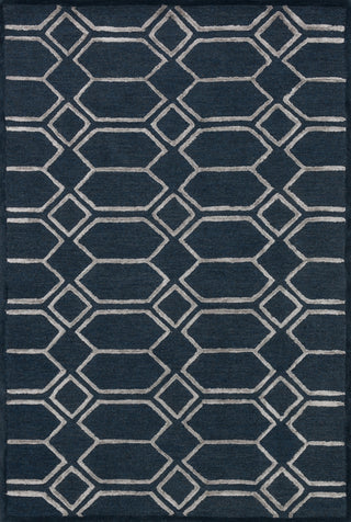 Loloi Panache PC-12 Indigo / Silver Area Rug Main Image