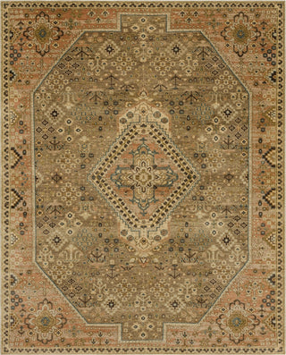 Karastan Paradigm Delilah Area Rug