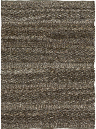 Karastan Tableau Parodos Brown Area Rug Main Image