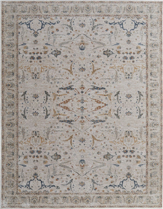 Feizy Pasha 39M4F Ivory/Blue/Red Area Rug