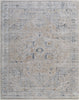 Feizy Pasha 39M5F Ivory/Taupe/Blue Area Rug