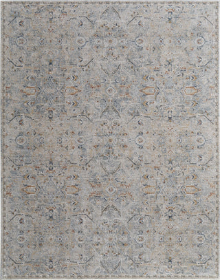 Feizy Pasha 39M6F Ivory/Blue/Tan Area Rug