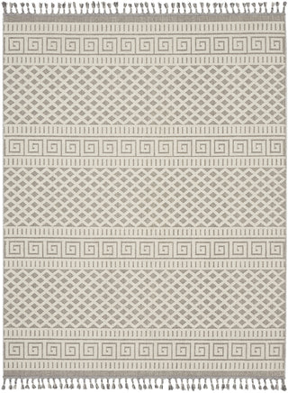 Nourison Paxton PAX05 Ivory/Grey Area Rug main image