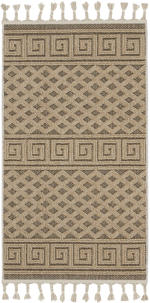 Nourison Paxton PAX05 Mocha Area Rug main image