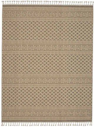 Nourison Paxton PAX05 Mocha Area Rug Main Image