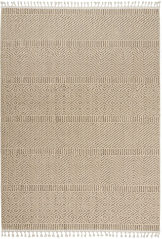 Nourison Paxton PAX06 Mocha Area Rug main image