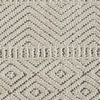 Nourison Paxton PAX06 Taupe Area Rug Swatch Image
