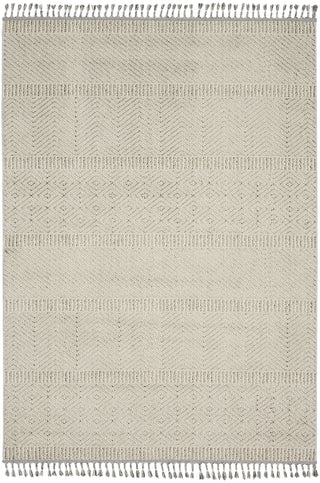 Nourison Paxton PAX06 Taupe Area Rug Main Image