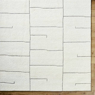 Surya Portobello PBO-2315 Area Rug Detail Image