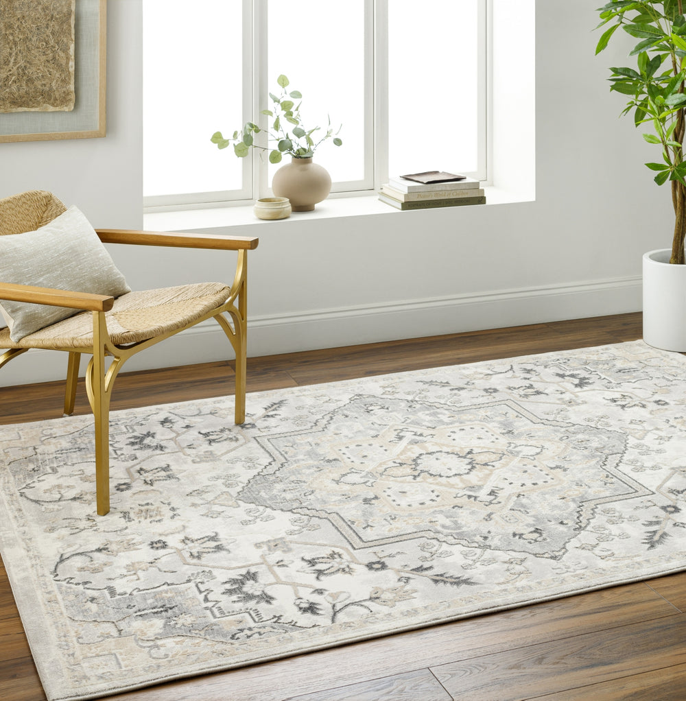 Surya Perception PCP-2317 Area Rug Room Scene Feature