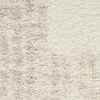 Nourison Pacific Shag PCS02 Ivory Beige Area Rug Swatch Image