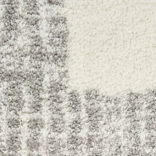 Nourison Pacific Shag PCS02 Ivory Grey Area Rug Swatch Image