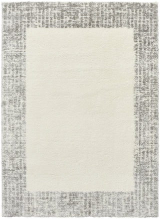 Nourison Pacific Shag PCS02 Ivory Grey Area Rug main image