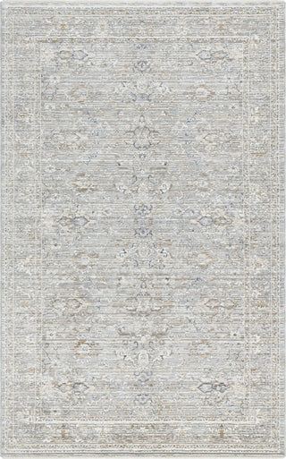 Livabliss Presidential PDT-2330 Light Silver Area Rug