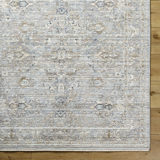 Livabliss Presidential PDT-2330 Light Silver Area Rug