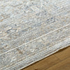 Livabliss Presidential PDT-2330 Light Silver Area Rug