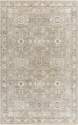 Livabliss Presidential PDT-2334 Ash Area Rug