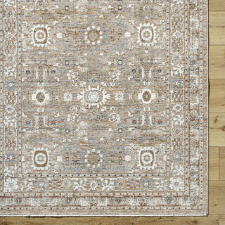 Livabliss Presidential PDT-2334 Ash Area Rug