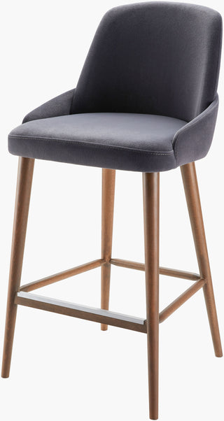 Surya Peregrine PEG-002 Black / Charcoal Furniture main image
