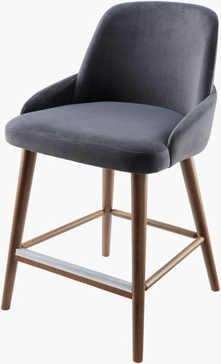 Surya Peregrine PEG-001 Gray / Charcoal Furniture Main Image