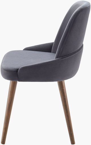 Surya Peregrine PEG-001 Gray / Charcoal Furniture Main Image