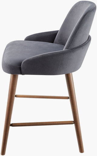 Surya Peregrine PEG-003 Black / Charcoal Furniture Main Image