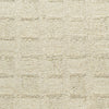 Nourison Pure Grids PGR01 Ivory Beige Area Rug by DKNY Swatch Image