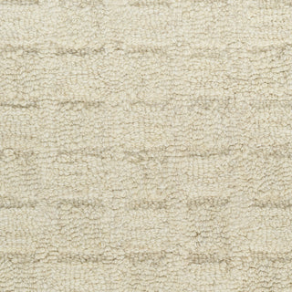 Nourison Pure Grids PGR01 Ivory Beige Area Rug by DKNY Swatch Image