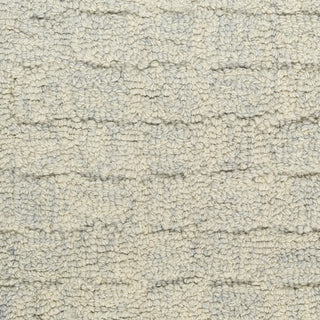 Nourison Pure Grids PGR01 Light Blue Area Rug by DKNY Swatch Image