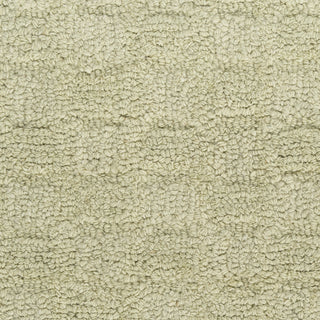 Nourison Pure Grids PGR01 Light Green Area Rug by DKNY Corner Image