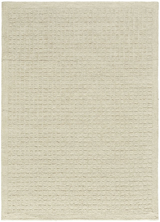 Nourison Pure Grids PGR01 Ivory Beige Area Rug by DKNY main image