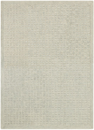 Nourison Pure Grids PGR01 Light Blue Area Rug by DKNY main image