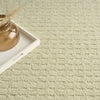 Nourison Pure Grids PGR01 Light Green Area Rug by DKNY Corner Image