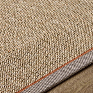 Livabliss Paragon PGR-2302 Area Rug Detail