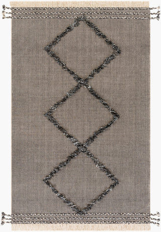 Surya Palo Alto PLA-2301 Area Rug main image